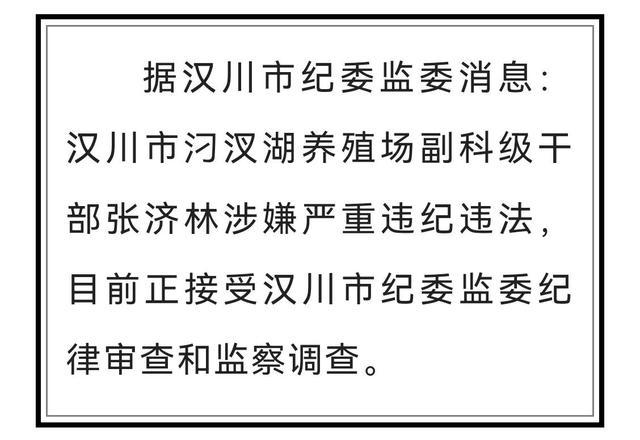 今晚上澳门必中一肖|实用释义解释落实,今晚上澳门必中一肖——实用释义解释落实策略