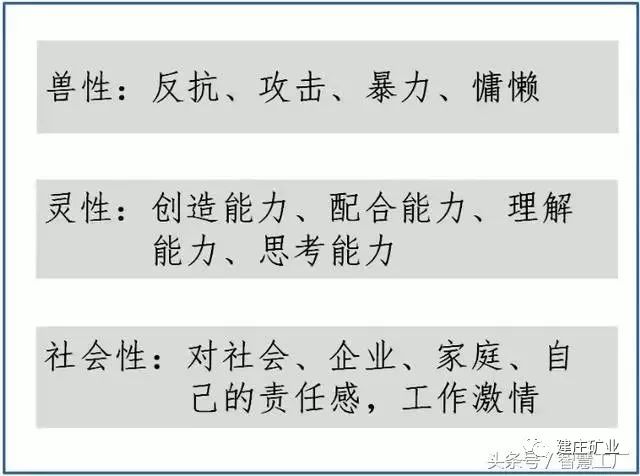 三期三肖必出特肖资料|实用释义解释落实,三期三肖必出特肖资料与实用释义解释落实详解